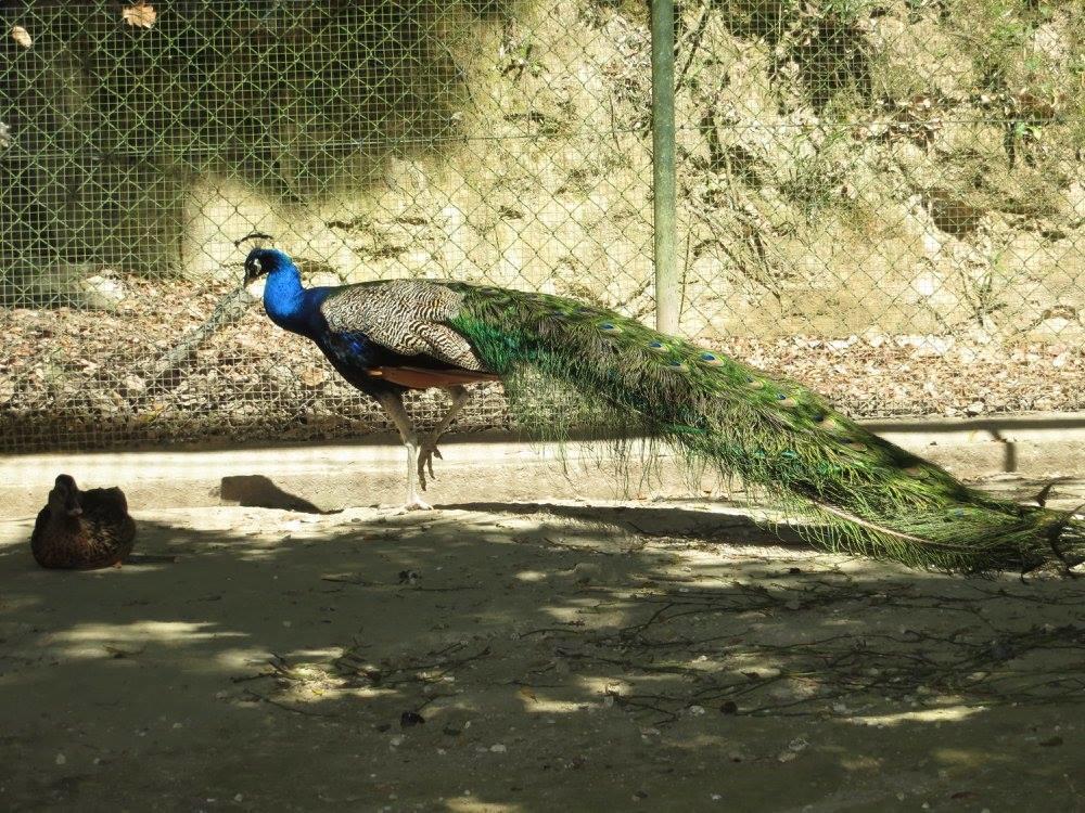 Encosta Dos Tuneis - Turismo E Lazer Sever do Vouga Bagian luar foto