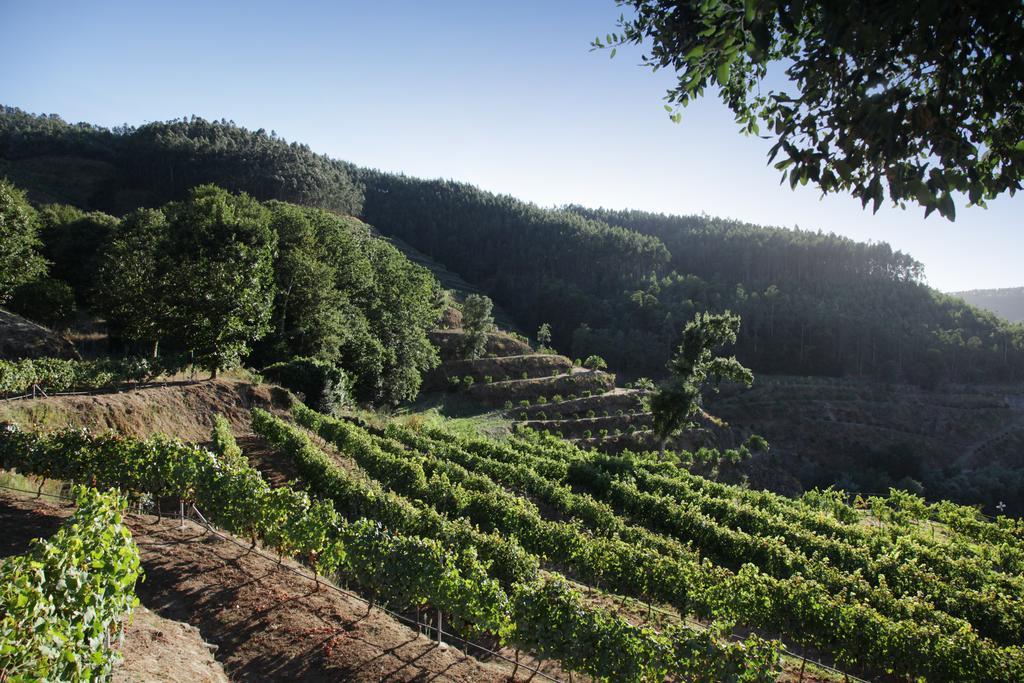 Encosta Dos Tuneis - Turismo E Lazer Sever do Vouga Bagian luar foto